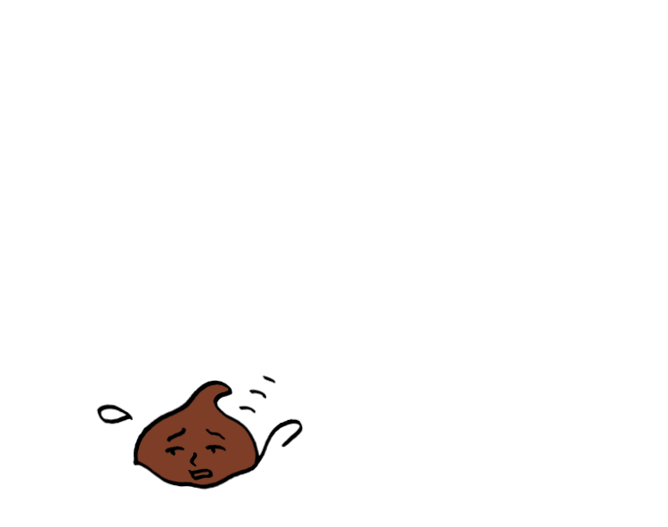 チョコチップ