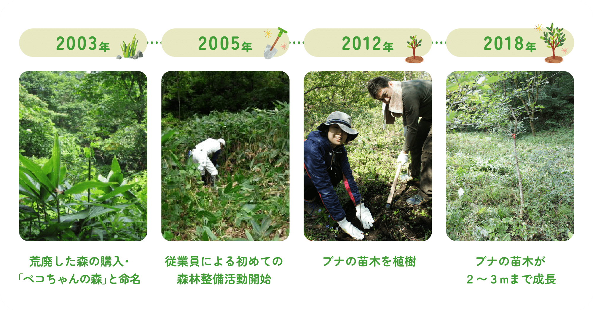 森の再生年表 2003年~2018年